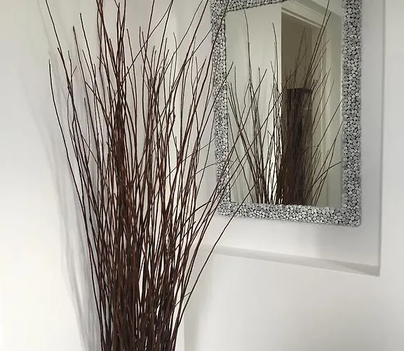 纳扎斯1号酒店 酒店